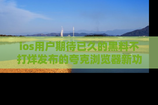 ios用户期待已久的黑料不打烊发布的夸克浏览器新功能上线啦!