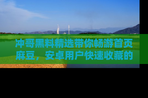 冲哥黑料精选带你畅游首页麻豆，安卓用户快速收藏的秘密武器！