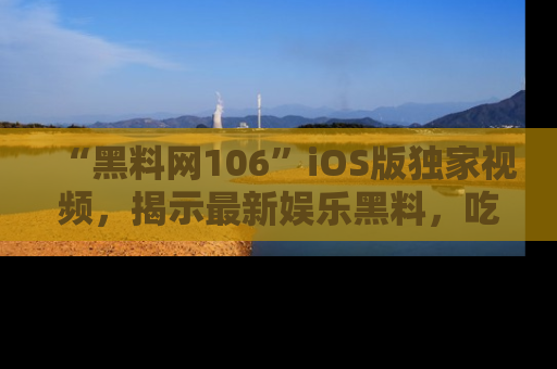 “黑料网106”iOS版独家视频，揭示最新娱乐黑料，吃瓜不停！