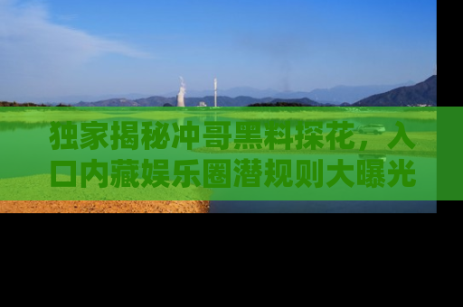 独家揭秘冲哥黑料探花，入口内藏娱乐圈潜规则大曝光