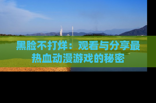 黑脸不打烊：观看与分享最热血动漫游戏的秘密