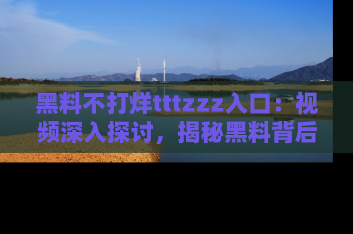 黑料不打烊tttzzz入口：视频深入探讨，揭秘黑料背后的人和事