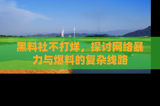 黑料社不打烊，探讨网络暴力与爆料的复杂线路