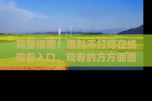 完整指南：黑料不打烊在线观看入口，观看的方方面面与app选择