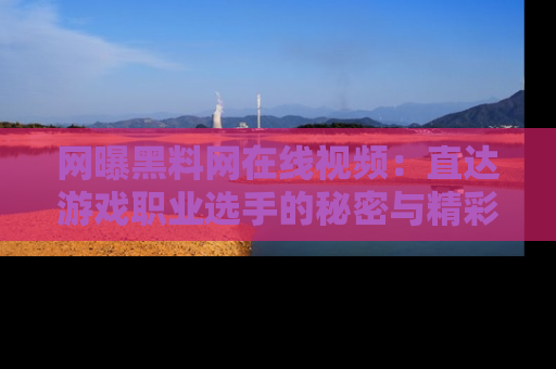 网曝黑料网在线视频：直达游戏职业选手的秘密与精彩动漫片段！