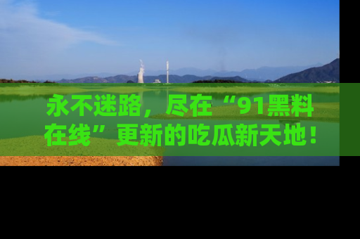 永不迷路，尽在“91黑料在线”更新的吃瓜新天地！