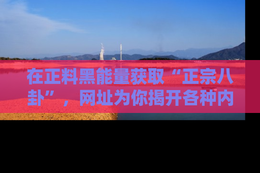 在正料黑能量获取“正宗八卦”,网址为你揭开各种内幕故事!