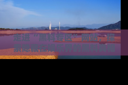 走进“黑料专区”网站,探索隐藏在娱乐界的黑料真相
